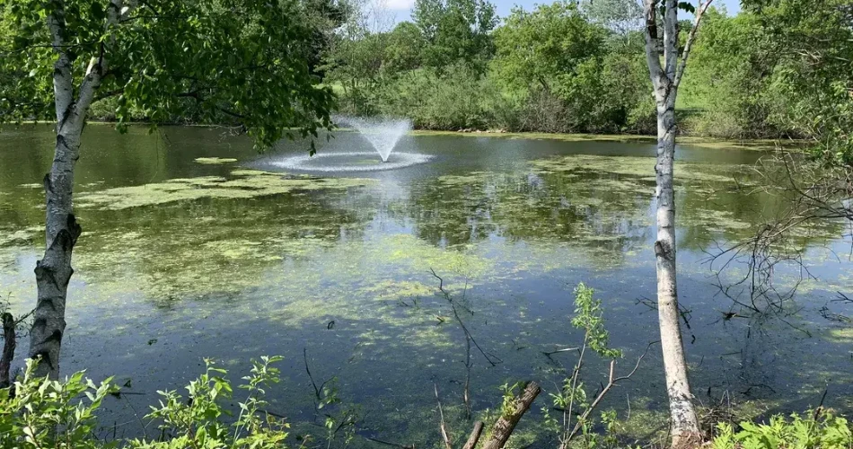 Top Attractions in Mounds View, Minnesota: A Complete Guide for Visitors