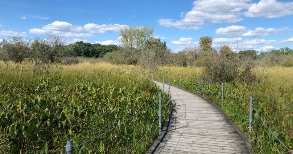 Top Attractions in Mounds View, Minnesota: A Complete Guide for Visitors