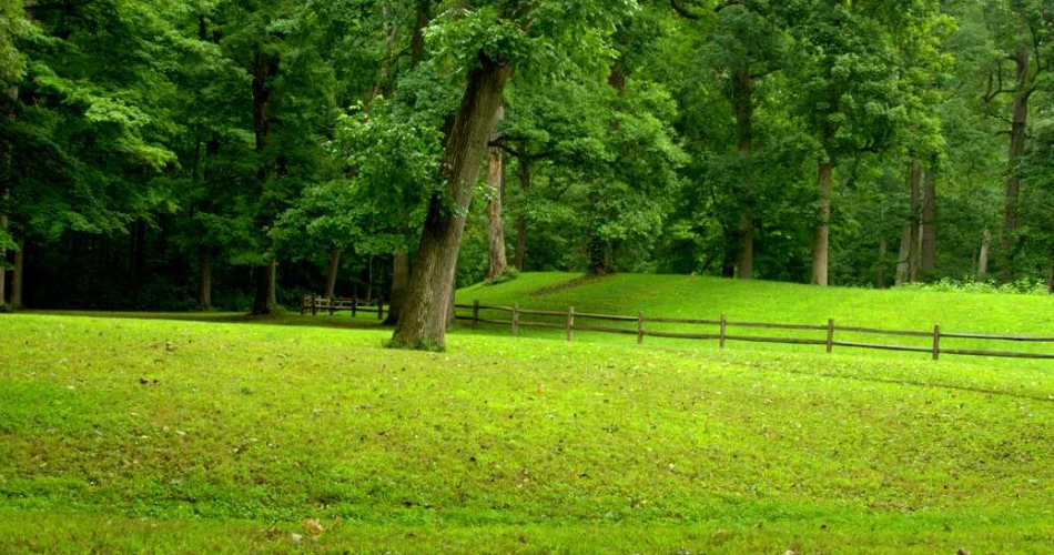 Top Attractions in Mounds View, Minnesota: A Complete Guide for Visitors